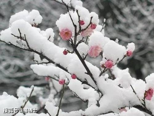 【古诗词鉴赏】唐代诗人王维《冬晚对雪忆胡居士家》诗赏析