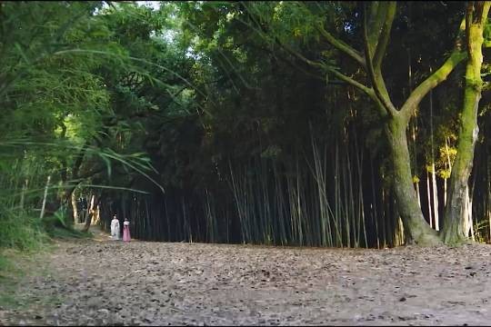 司徒九月向沈玉容坦白自己的身份,原来沈玉容一直都知道