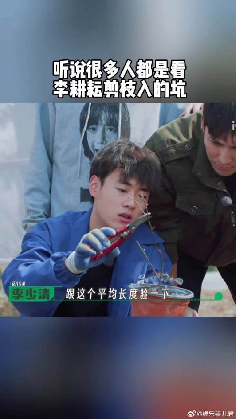 听说很多人都是看李老三剪枝入的坑…