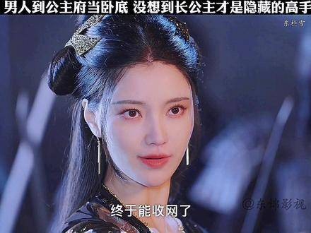 男人潜入公主府,竟发现长公主才是深藏不露的绝顶高手