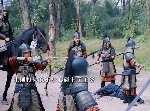 表面上是柔弱老实的商人,实际上是雷厉风行武艺高强的淮阳王