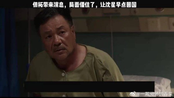但拓带来消息,局面僵住了,让沈星早点回国