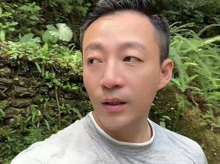 汪小菲放弃抚养权,大S愿望落空,娱乐八卦头条视频创作激励计划