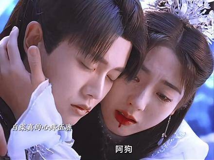 在他人眼中,他是众人的期望,唯有在白菜这里,他只是阿狗…