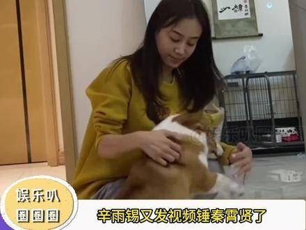 真的假的,秦霄贤 他不是富二代吗,吃瓜 秦霄贤