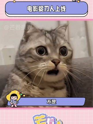 我的天,这个捉刀人真是刺激无比! 电影