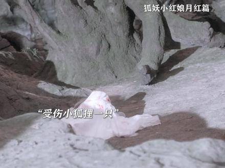 爱上救命恩人的设定,谁能体会?