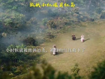 小时候总被他俩追杀,幸得涂山红红相救