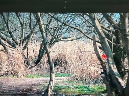 真好看,你 赵小棠 春花焰 春花焰开播鲨疯了 赵小棠