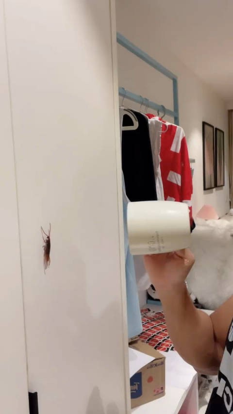 蟑螂:还好我有闪现