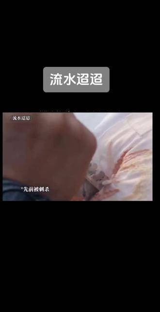 卫昭 任嘉伦 任嘉伦