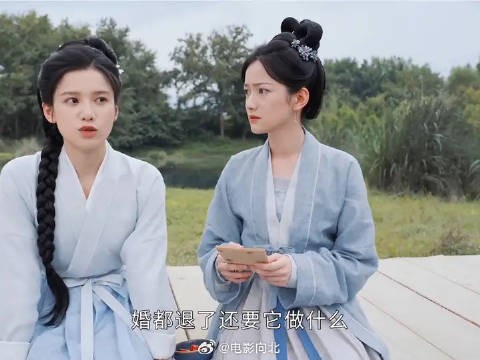 四嫂是花芷唯一能袒露心声的人,花芷埋怨家人…