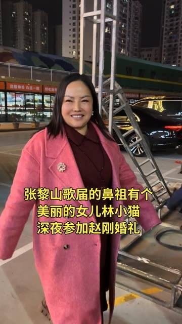 张黎 赵刚婚礼