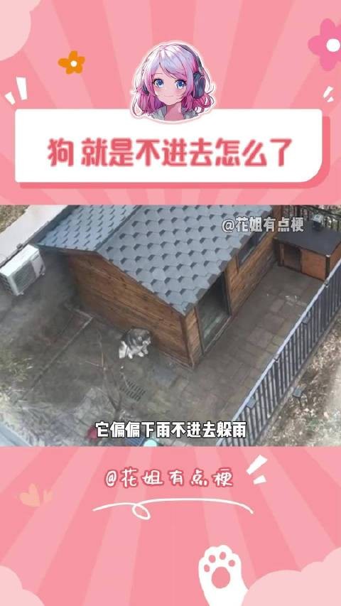 你小时候这样过吗