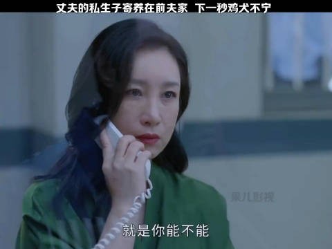 丈夫的私生子寄养在前夫家，下一秒鸡飞狗跳