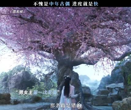 《念无双》果然不愧是中年古偶,进度就是快!太好磕了吧