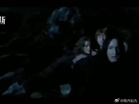当我看到乌姆里奇躲在学生后面时,不禁想起了那些勇敢的教授们