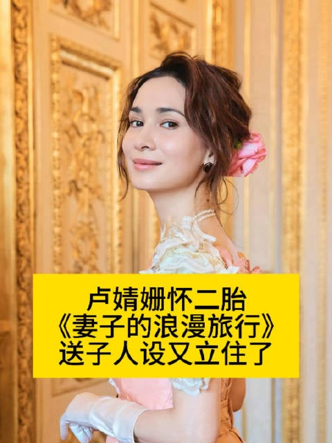 卢婧姗怀二胎，《妻子的浪漫旅行》