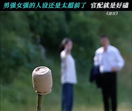 双强的设定就是好磕 潜伏 孙红雷 姚晨