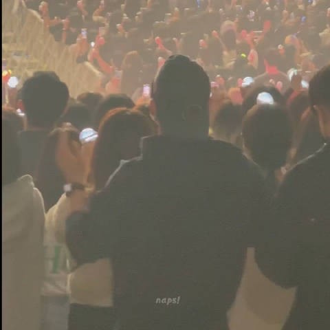 看演唱会的 cr.naps_pil