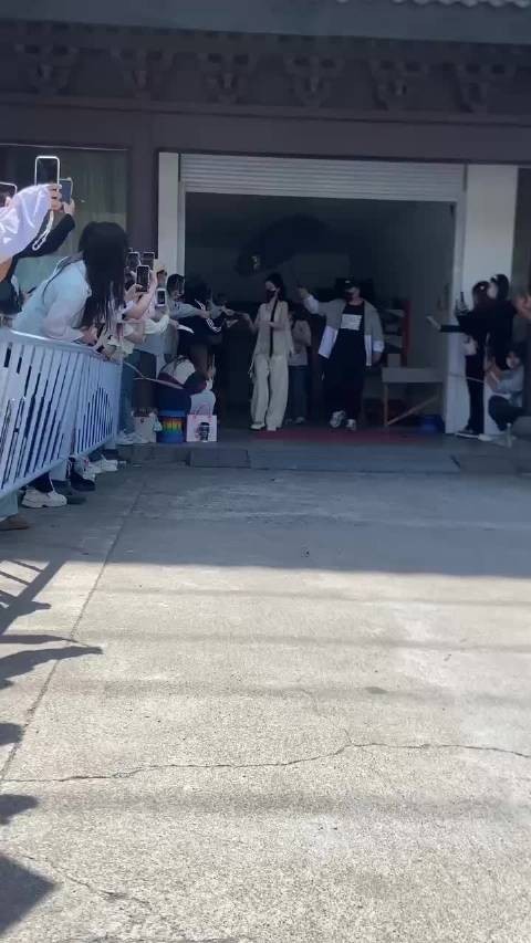 孟子义宠物狗巧克力体重激增，圆润身形引关注