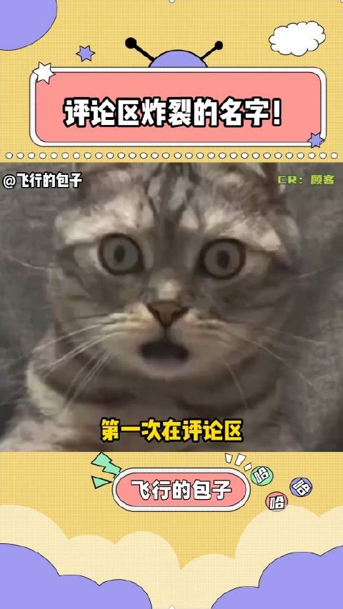 网友盘点plq炸裂三字名,父母取名引热议