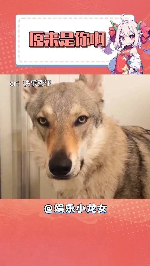 原来是你这个老六啊 这下安心啦