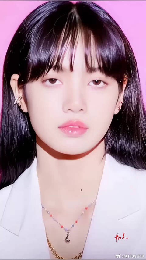 作者跑路了,活捉lisa