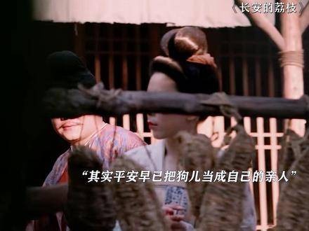 平安在的地方狗儿就在,早已把狗儿当家人! 长安的荔枝