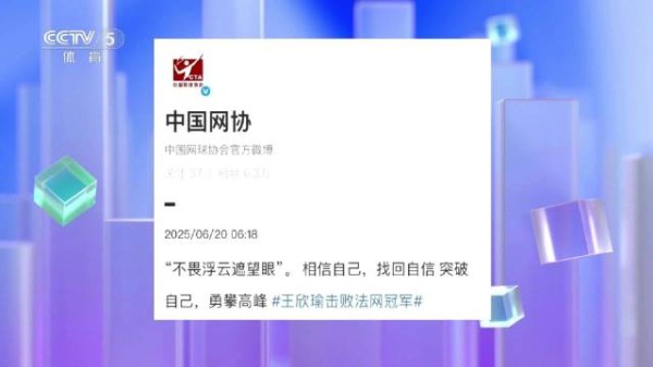 中国网协发文祝贺王欣瑜