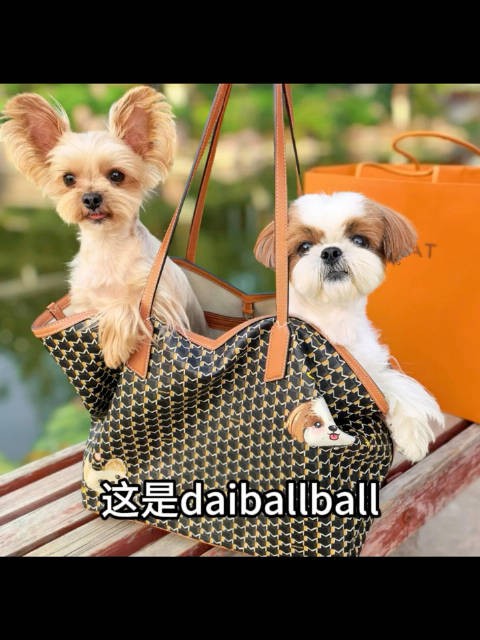 咱们也是进入时尚界了 xiaodaidai xiaoqiuqiu daiballball 与labubu齐名了