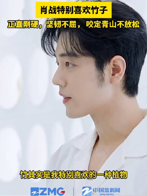肖战说特别喜欢竹子