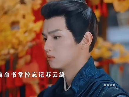 苏大小姐，我押你赢