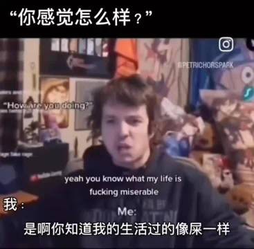 草! 流汗黄豆meme