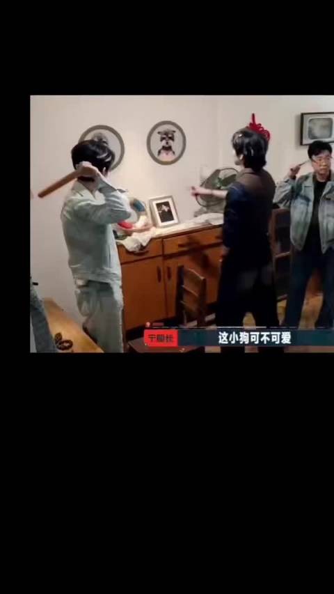 刘宇宁与爱犬呆米同看新剧《书卷一梦》开播