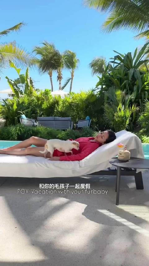 和你的宝贝去度假