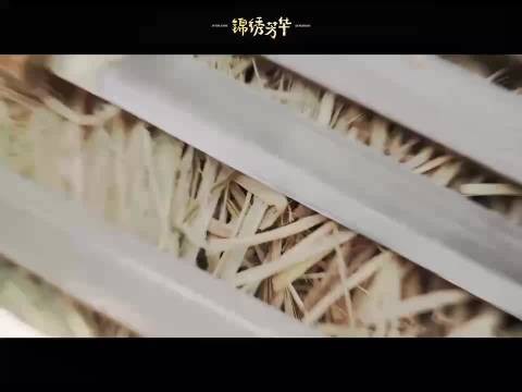 《锦绣芳华》蒋长扬以智慧谋略打破霸总套路