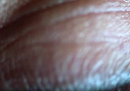 恕我直言,这片子的编剧一定吸毒