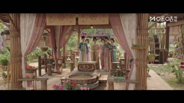 杨紫李现赌约兑现,蒋长扬认输秀恩爱