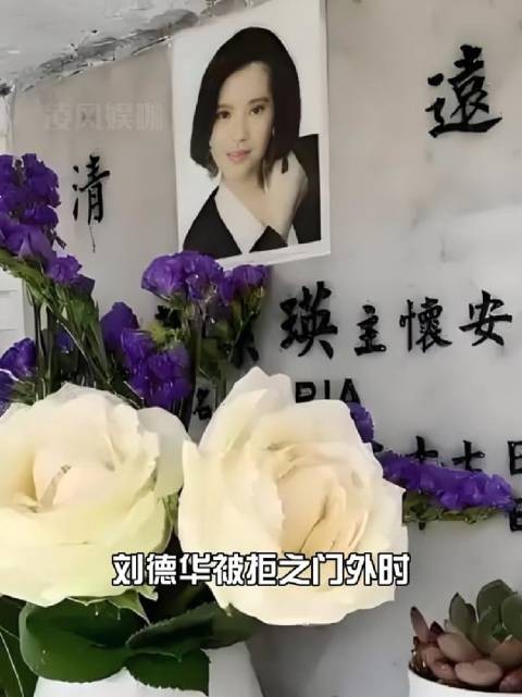 蓝洁瑛葬礼未邀刘德华，姐姐守护隐私显温情