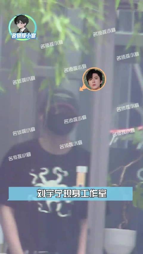 刘宇宁现身工作室，将狗狗抱在怀中为狗遮雨好有爱