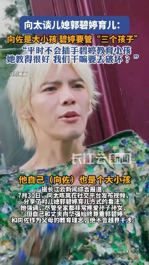 向太说郭碧婷得管三孩其中一个是向佐