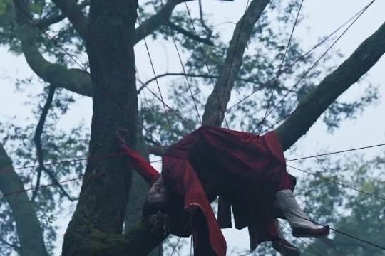 王星越领衔《定风波》开播，彻查缝杀案寻真相