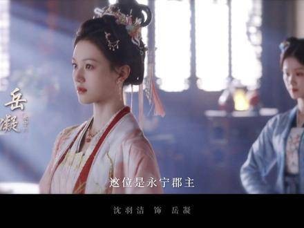 岳凝说道：我们江湖再见