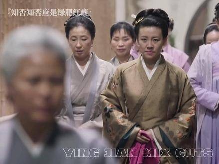 反派大娘子登场，全片紧张氛围瞬间爆棚！知否知否应是绿肥红瘦