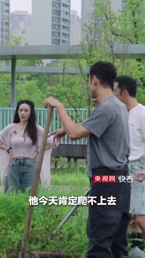 让撒贝宁爬树只需要一个阮经天，激将法用于撒贝宁身上，成功率简直百分百