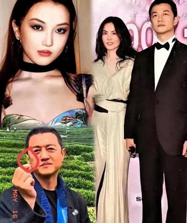 王菲辛苦养大李嫣，谁料竟成“嫁衣”，便宜了李亚鹏？