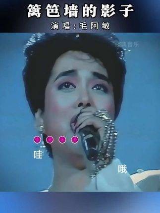 篱笆墙的影子 毛阿敏 老歌回顾