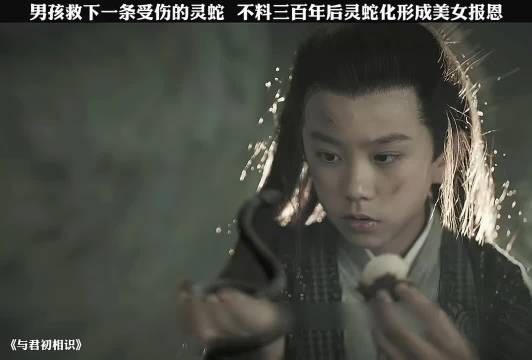 男孩救下一条受伤的灵蛇，不料灵蛇三百年后化身成美女报恩