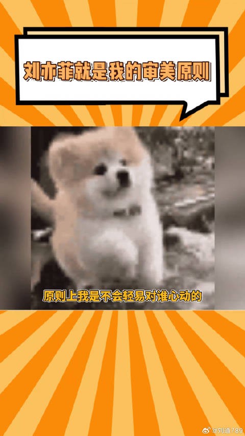 原则上我是不会轻易对谁心动的,可刘亦菲就是原则!微博VC计划